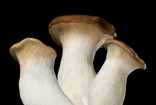 蔬菜配送需要注意什么？