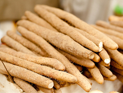 山藥采購(gòu)價(jià)格