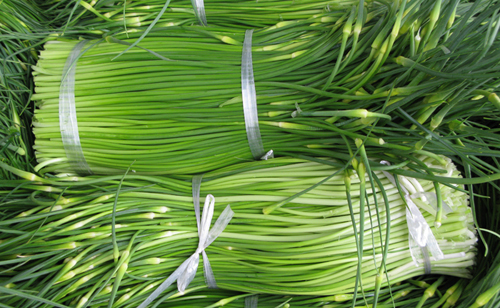 蒜苗批發(fā)配送(圖1) 蒜苗批發(fā)配送(圖1)