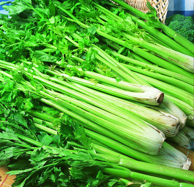 芹菜批發(fā)供應(yīng)商(圖1) 芹菜批發(fā)供應(yīng)商(圖1)