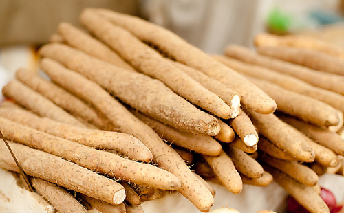 山藥采購價(jià)格(圖1) 山藥采購價(jià)格(圖1)