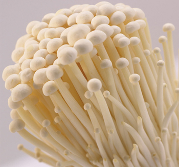 鎮(zhèn)江金針菇配送(圖1) 鎮(zhèn)江金針菇配送(圖1)