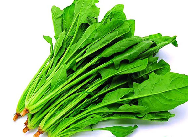 菠菜配送(圖1) 菠菜配送(圖1)