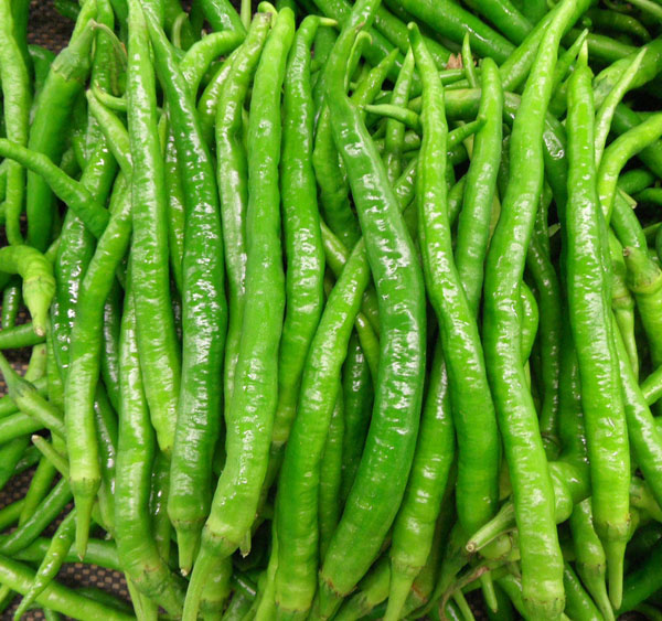 青杭椒(圖1) 青杭椒(圖1)