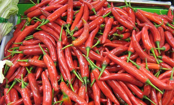 小紅尖椒(圖1) 小紅尖椒(圖1)