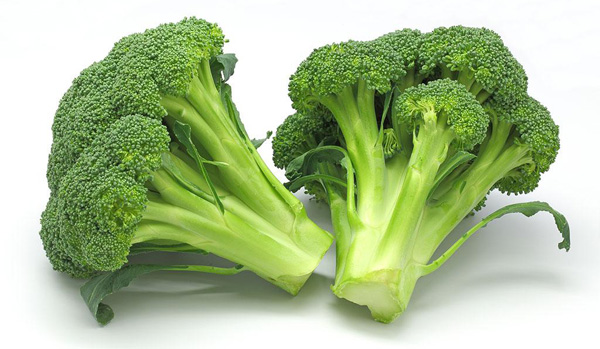 種植配送西蘭花(圖1) 種植配送西蘭花(圖1)